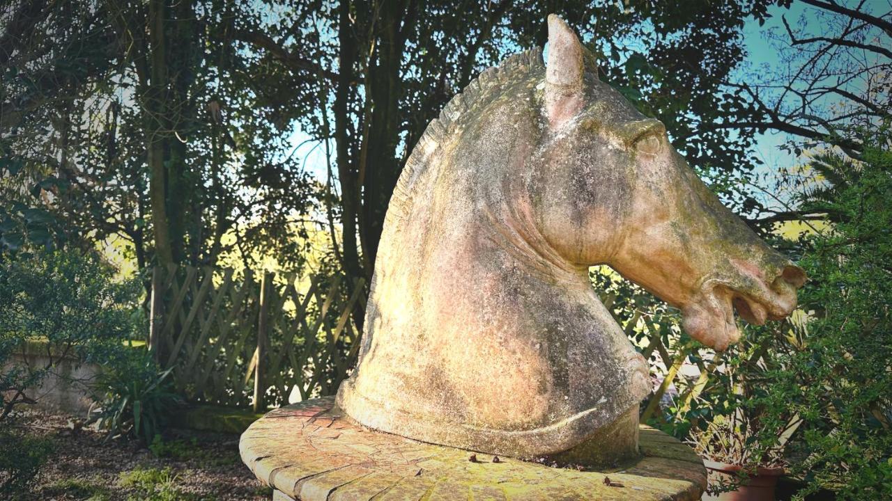 فيلا Night In The Wood Sorbo كامباغنانو دي روما المظهر الخارجي الصورة